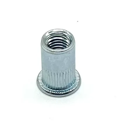 Round body blind rivet nut