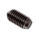 Slotted Head Spring Plunger with Ball