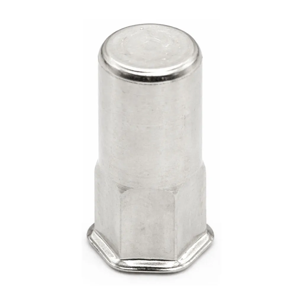 [556-100] Semi hex body rivet nut M10